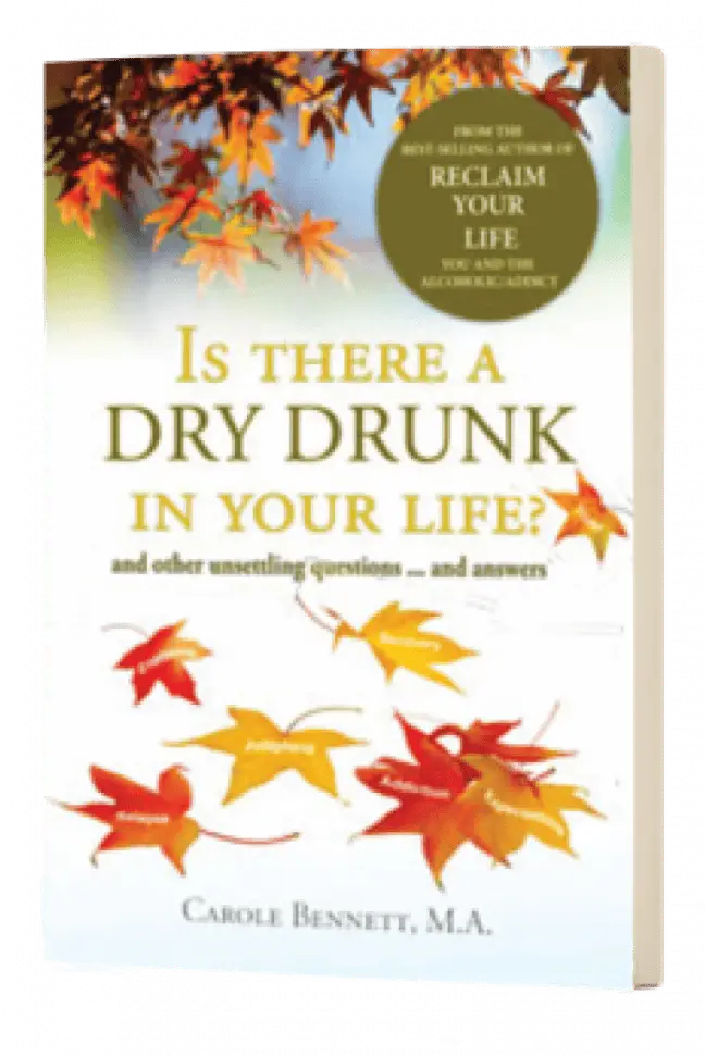 Is There a Dry Drunk in Your Life? Ebook