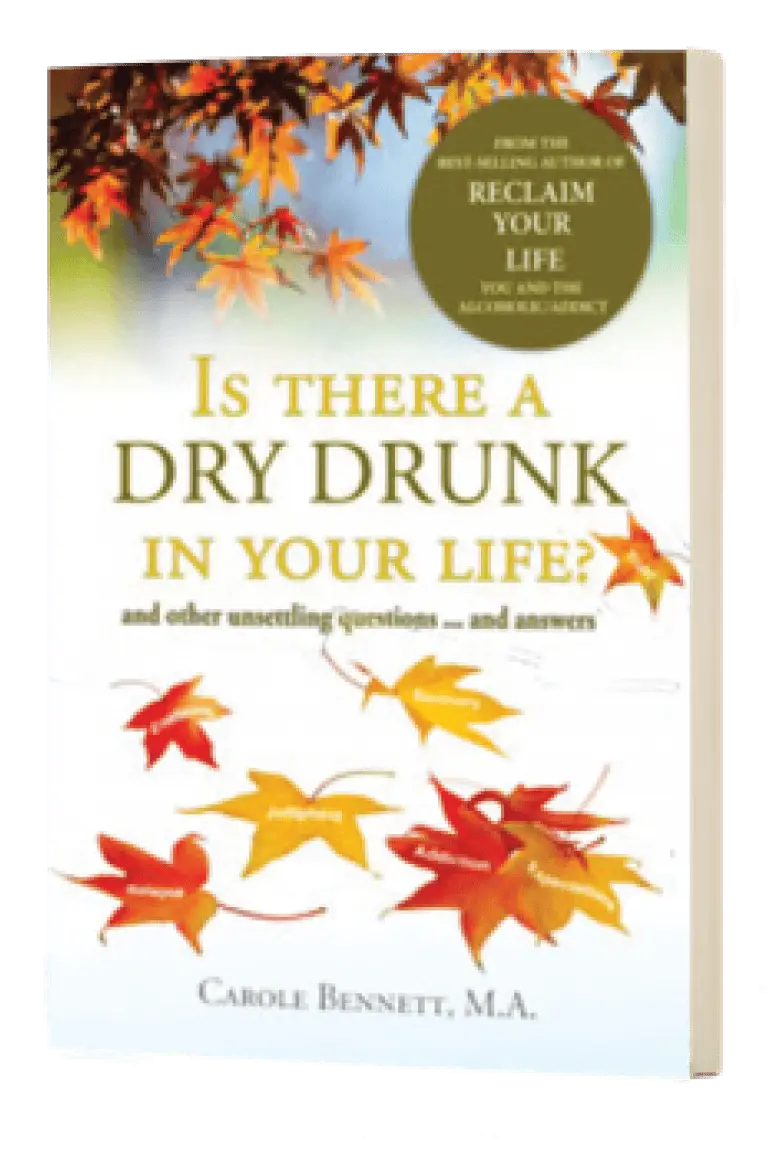 Is There a Dry Drunk in Your Life? Ebook