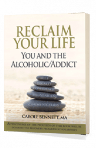 Reclaim Your Life (EBOOK) You and the Alcoholic/Addict