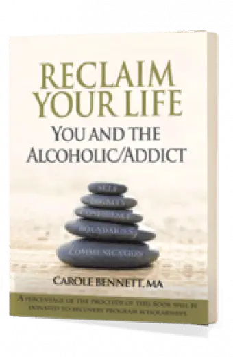 Reclaim Your Life (EBOOK) You and the Alcoholic/Addict