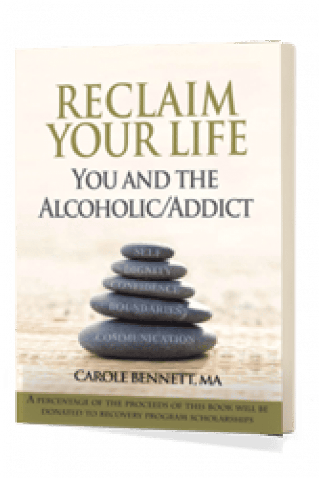 Reclaim Your Life (EBOOK) You and the Alcoholic/Addict